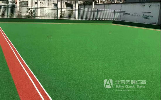 人工草坪門(mén)球場(chǎng)圖片