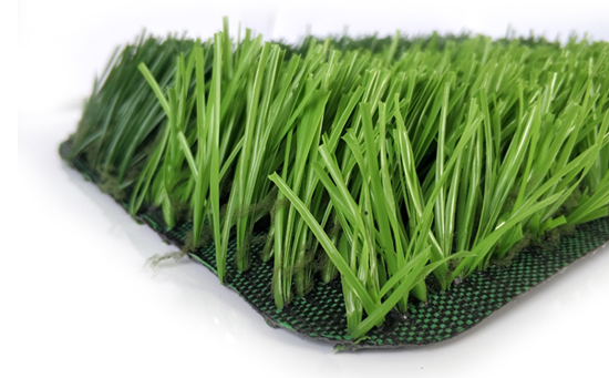 U形足球場(chǎng)草坪圖片