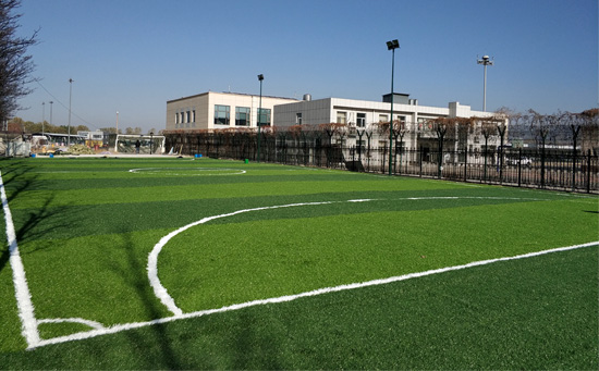 北京人造草足球場圖片